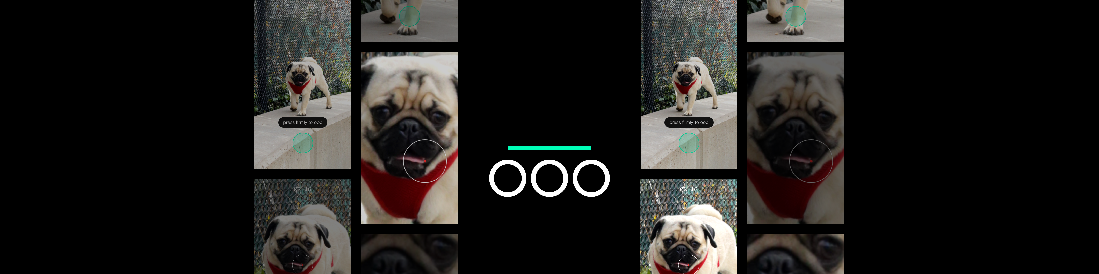 The app logo flanked on either side by images of a pug zoomed to different levels.